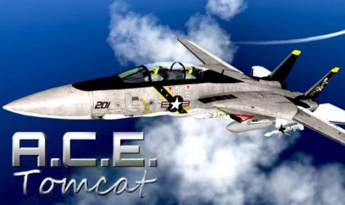 -14  (A.C.E. Tomcat)