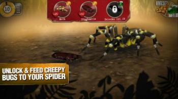 Реально страшные пауки (Real scary spiders)