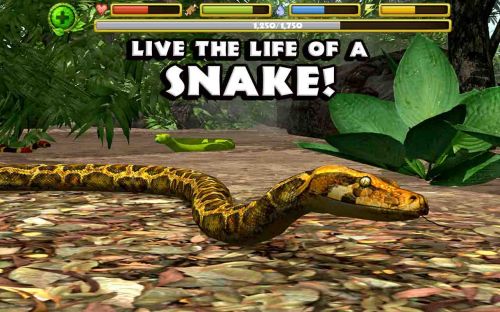   (Snake Simulator) v1.1