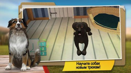     (Dog Hotel) v1.0.7