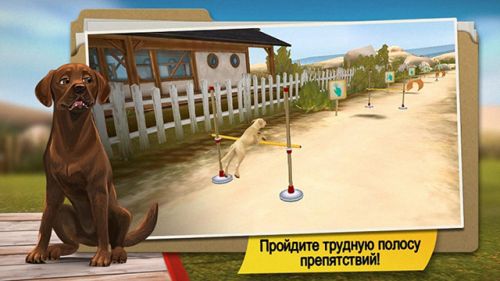     (Dog Hotel) v1.0.7