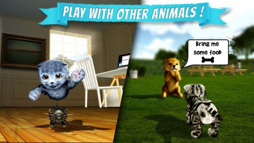   (Cat Simulator) v1.2.4