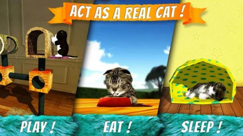   (Cat Simulator) v1.2.4