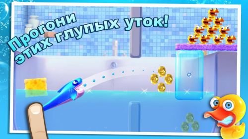   (Shark Dash) v1.0.5