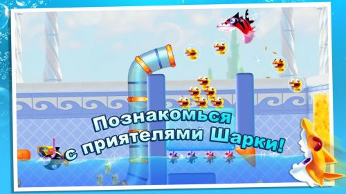   (Shark Dash) v1.0.5